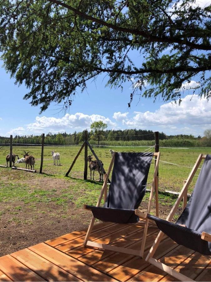 Zamieszkaj Na Wsi Blisko Warszawy Villa Borucza Dış mekan fotoğraf